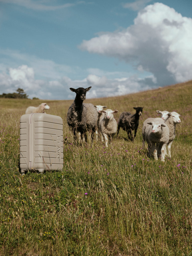 Day Tonal 20" Suitcase