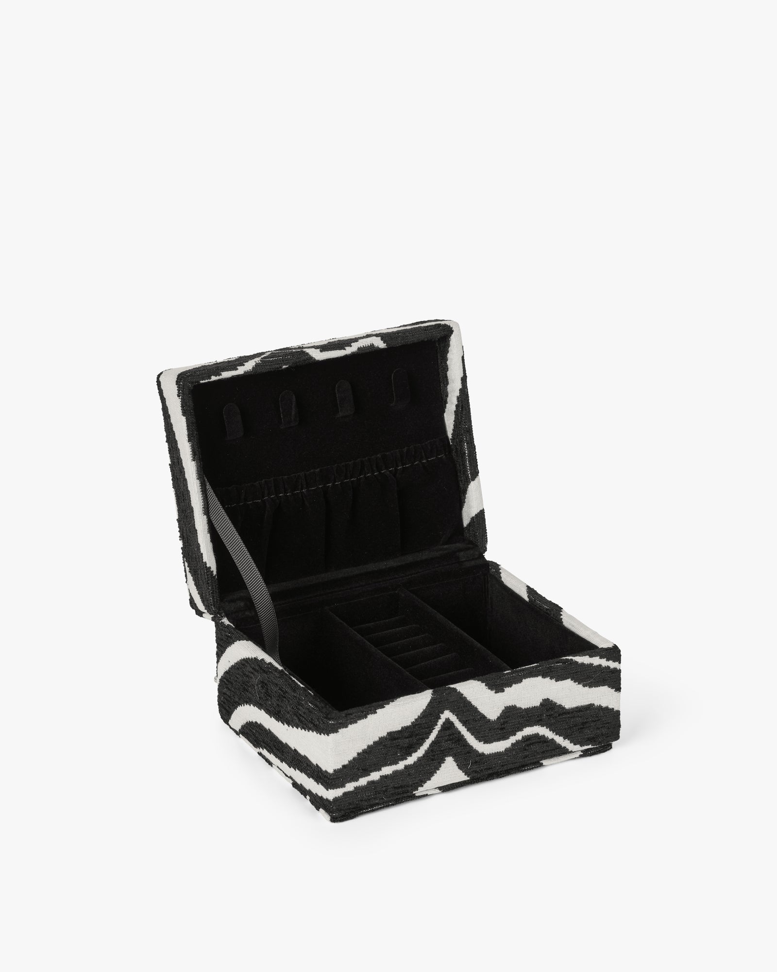 Day Zebra Jewelry Case Small
