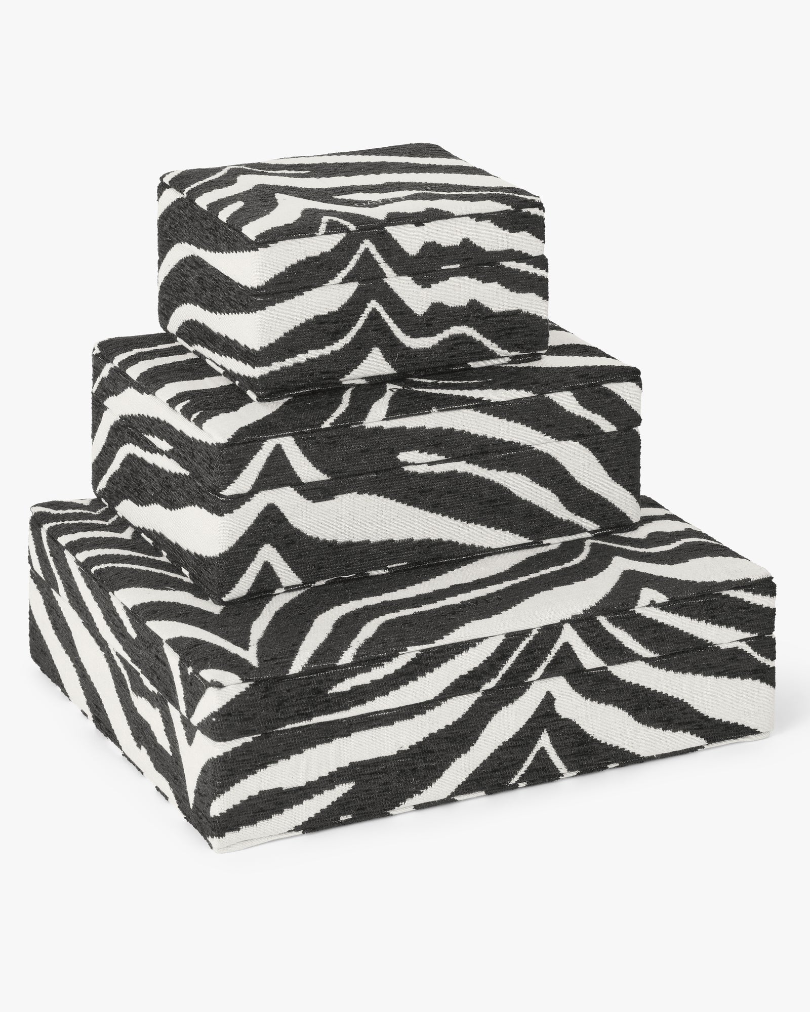 Day Zebra Jewelry Case Small