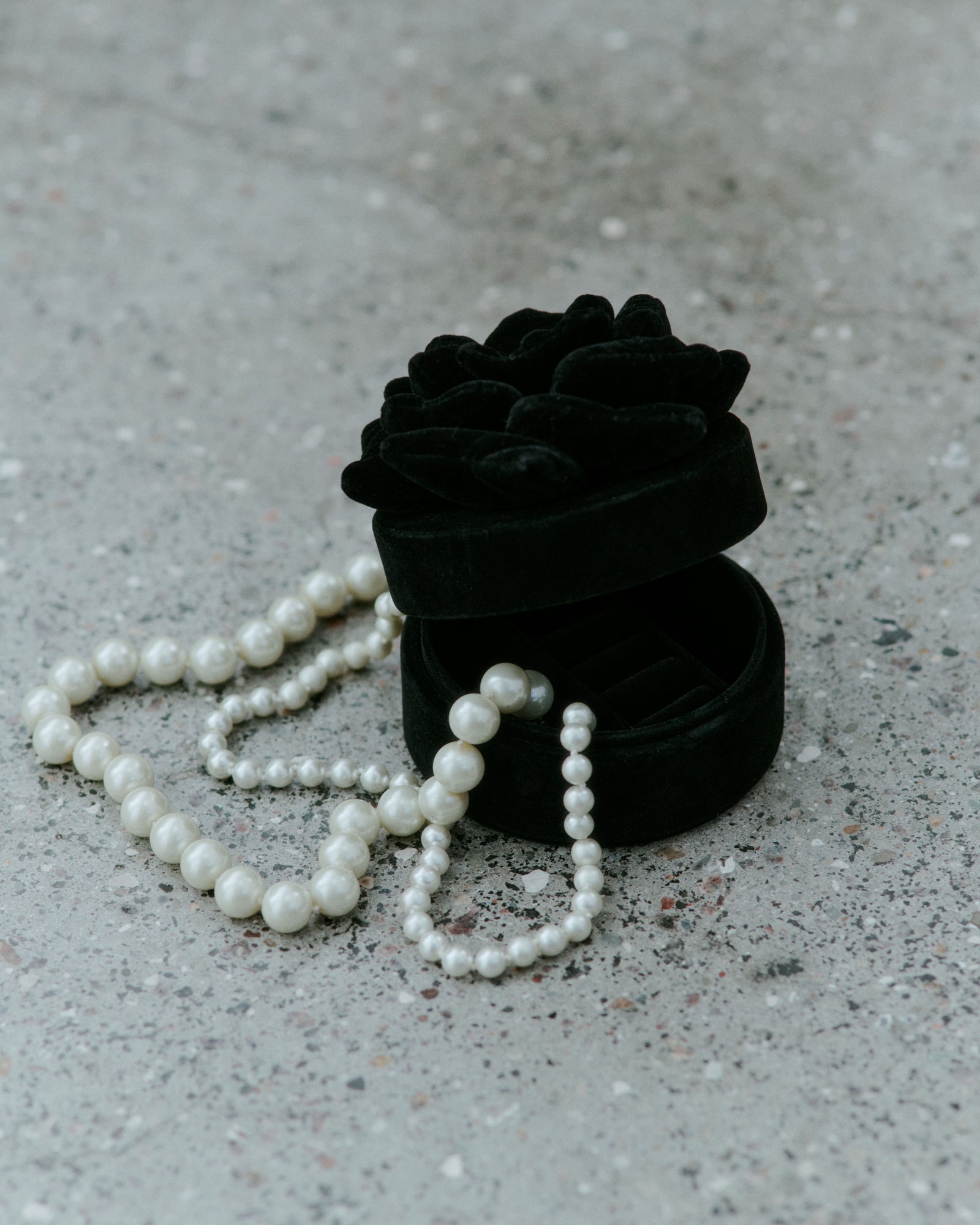 Day Velvet Flower Jewelry Round