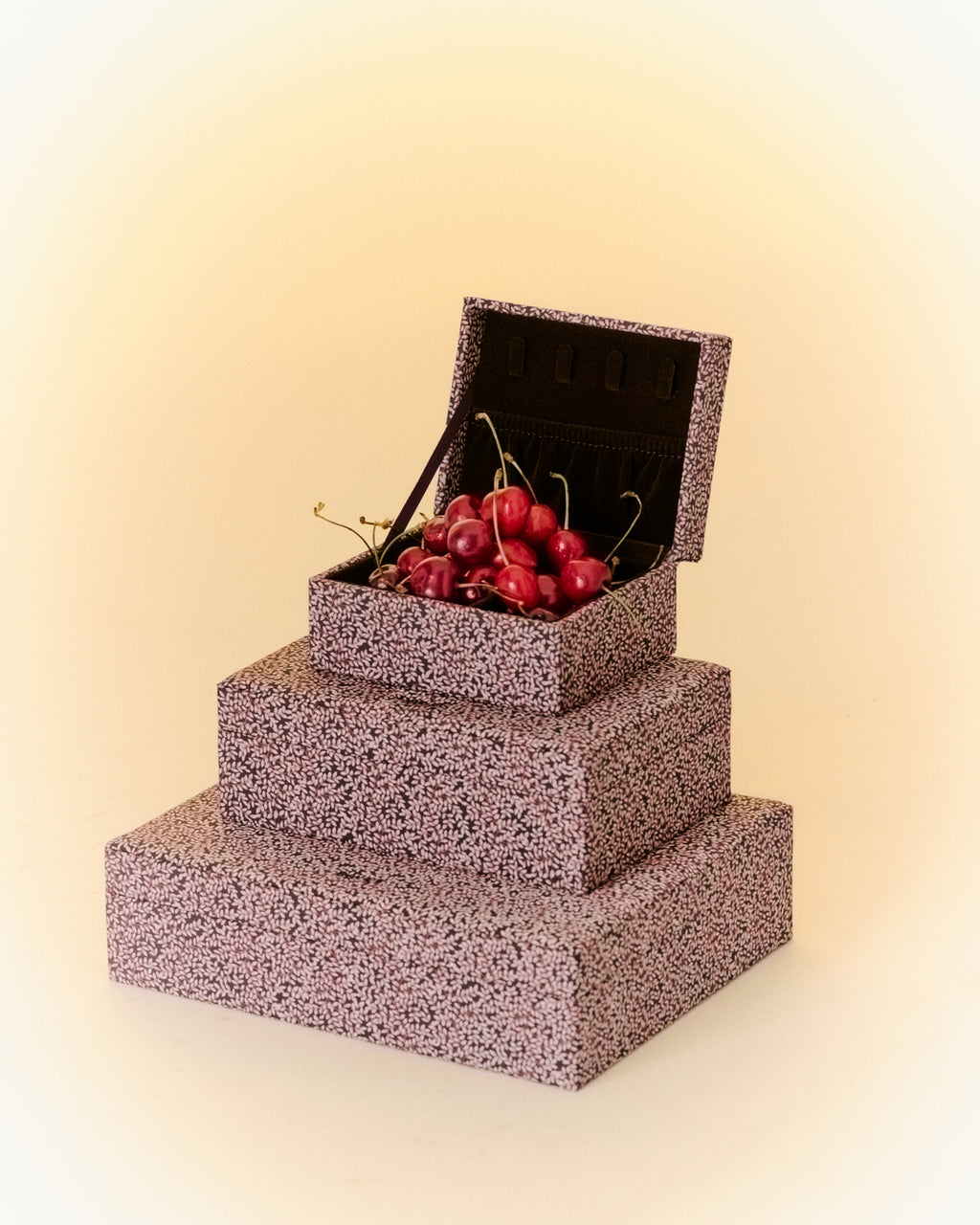 Day Print Jewelry Case Medium